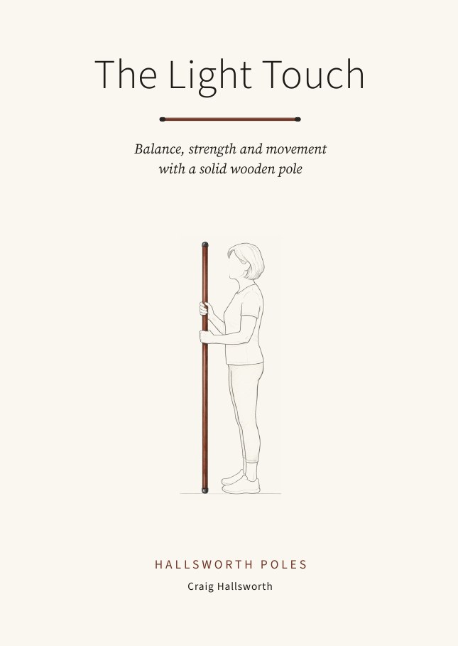 Front cover of The Light Touch by Craig Hallsworth